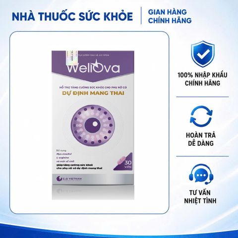 E&S Việt Nam