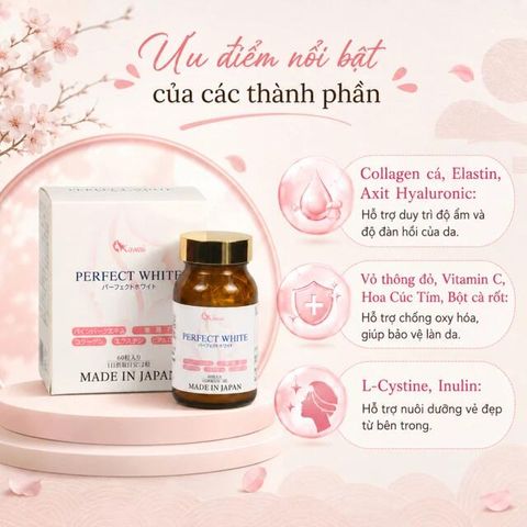Viên uống hỗ trợ làm đẹp da, giúp da trắng sáng, cải thiện thâm nám, hạn chế lão hóa da Perfect White Jpanwell (60 viên)