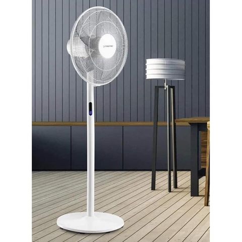 Quạt Cây Trotec TVE 24S