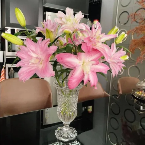 LỌ HOA PHA LÊ BOHEMIA ALEXANDRIA (SX SÉC)