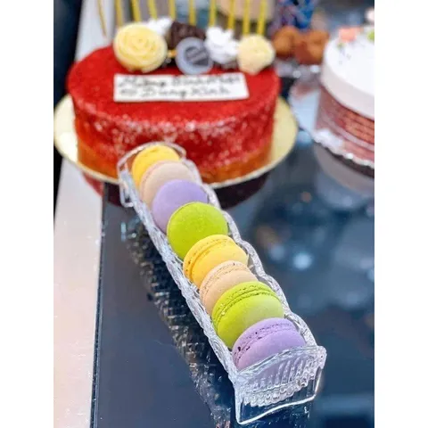 KHAY PHA LÊ ĐỰNG BÁNH QUY DUBLIN 24cm