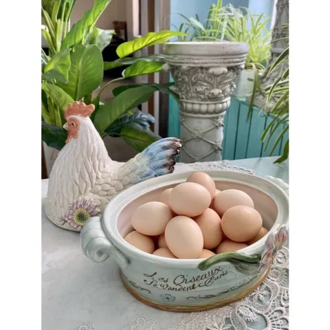 Âu sứ có nắp hình gà mái