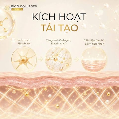 PICO COLLAGEN PREMIUM 150 Viên Nhật Bản – Bổ Sung Collagen Hỗ Trợ Da Săn Chắc, Căng Mịn