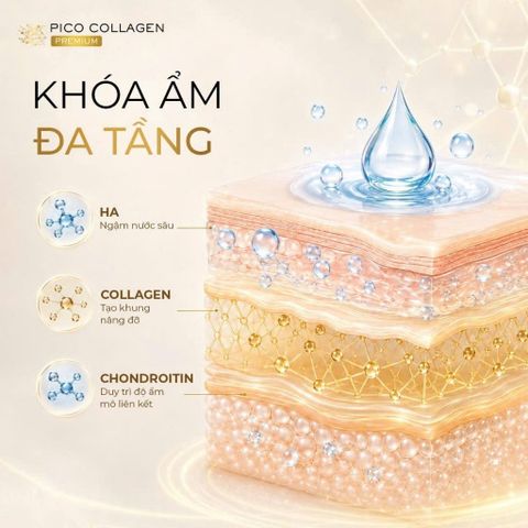 PICO COLLAGEN PREMIUM 150 Viên Nhật Bản – Bổ Sung Collagen Hỗ Trợ Da Săn Chắc, Căng Mịn