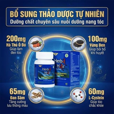 Viên uống hỗ trợ làm đen tóc, giảm gãy rụng Herba Hair Kingphar (60 viên)