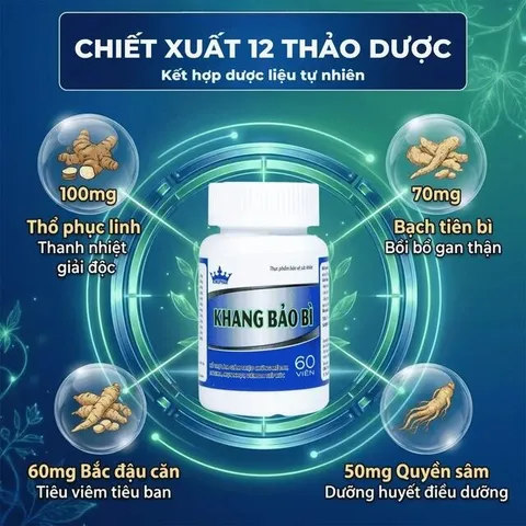 Viên uống hỗ trợ giảm mụn nhọt, da khô, nứt nẻ, lở ngứa của bệnhh vảy nến Khang Bảo Bì Kingphar (60 viên)