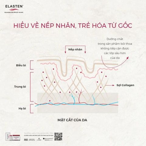 Nước uống bổ sung Collagen-Peptide, giúp giảm lão hóa da, tăng độ đàn hồi và giữ ẩm cho da, giúp da sáng mịn Elasten (28+2 ống x 25ml)