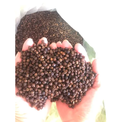 1000g Tiêu Rang Macpepper Dùng Cho Gia Đình. 100% Đảm bảo sạch, không thuốc trừ sâu.