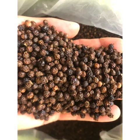 1000g Tiêu Rang Macpepper Dùng Cho Gia Đình. 100% Đảm bảo sạch, không thuốc trừ sâu.
