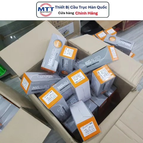 [HCM] Tay bấm điều khiển tời điện - Tay bấm điều khiển cầu trục có dây H02EA 2 nút 1 tốc độ có nút dừng khẩn cấp