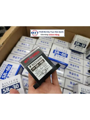 Diot chỉnh lưu cầu trục SR 60 thương hiệu BOCHANG AC 200/220V DC 90/99V Tần số 50/60Hz Cường độ mở phanh 6/6.6A