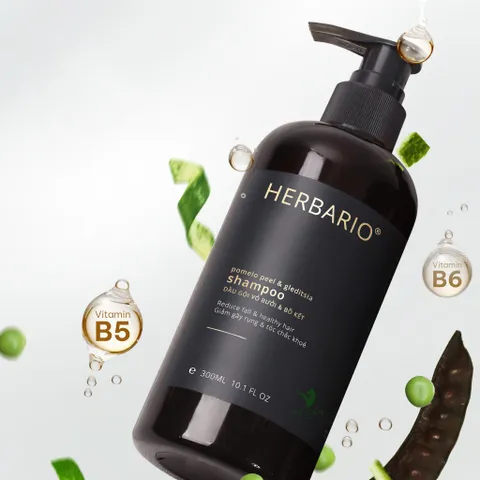 Bản Nâng Cấp - Dầu gội vỏ bưởi & bồ kết Herbario 300ml không sunfate không silicon