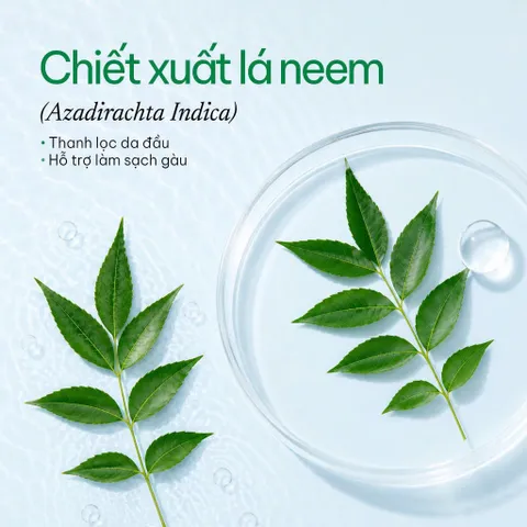[SVIP] Dầu gội thảo dược sạch gàu 5T Herbario 250ml - Vegan Mỹ phẩm thuần chay