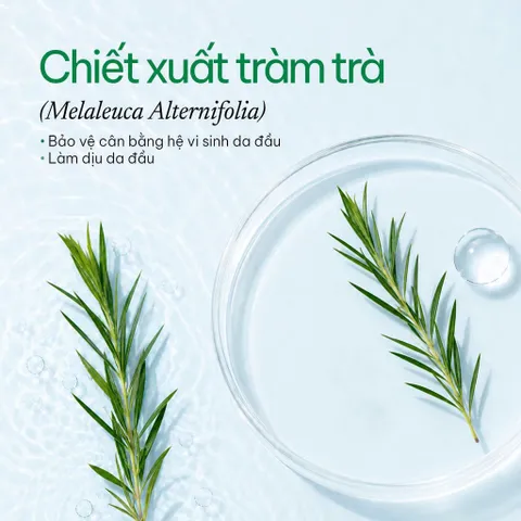 [SVIP] Dầu gội thảo dược sạch gàu 5T Herbario 250ml - Vegan Mỹ phẩm thuần chay