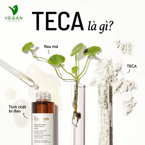 Serum tinh chất bí đao cocoon 70ml sạch mụn - VEGAN - Mỹ phẩm thuần chay