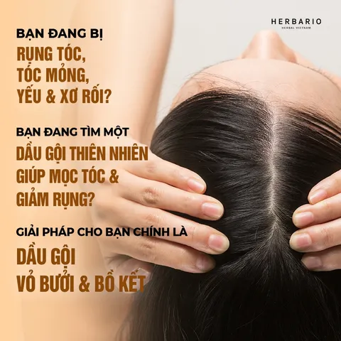 MEMBERGIFT [Hàng tặng không bán] - Dầu gội vỏ bưởi và bồ kết HERBARIO 300ml