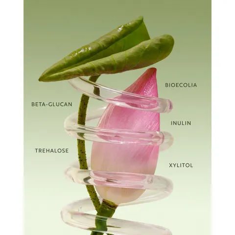 Nước tẩy trang SEN Cocoon Việt Nam 140ml thuần chay