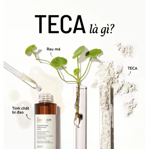 Tinh chất bí đao cocoon 70ml n7 với 7% Niacinamide serum Winter melon