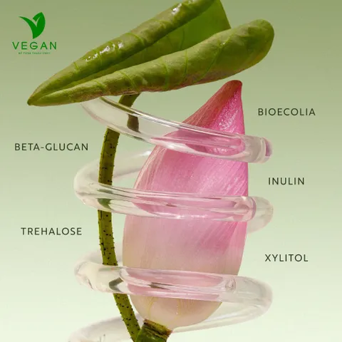Nước tẩy trang sen Hậu Giang Cocoon Mỹ phẩm thuần chay