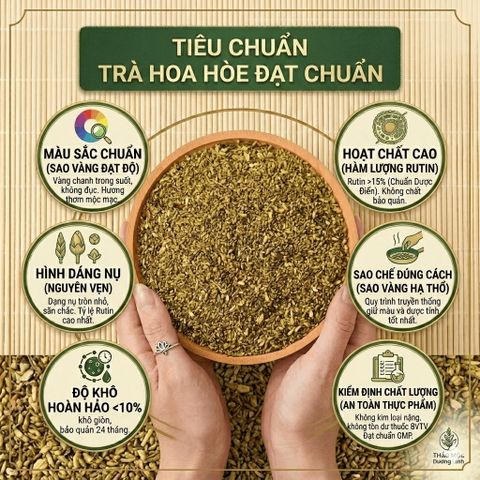 Trà Hoa Hòe Sao Khô [Đặc Biệt] Mùi Thơm, Hỗ Trợ Ổn Định Huyết Áp, Chống Sơ Vữa Động Mạch