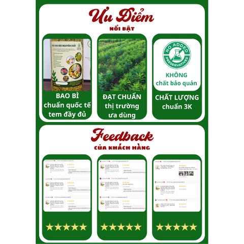 Trà Hoa Hòe Sao Khô [Đặc Biệt] Mùi Thơm, Hỗ Trợ Ổn Định Huyết Áp, Chống Sơ Vữa Động Mạch