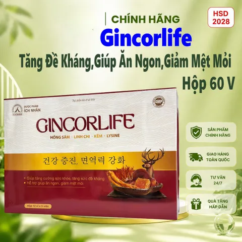 Gincorlife Của Ích Nhân Hộp 60 Viên - Hỗ Trợ Nâng Cao Sức Khỏe, Ăn Ngon, Tăng Đề Kháng Hiệu Quả