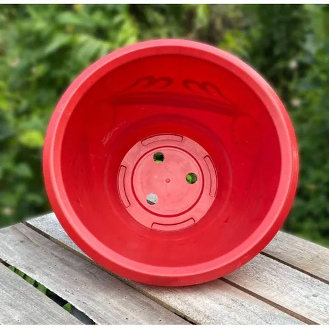 [10 Cái] Chậu Nhựa T33 Truyền Thống (Dày)