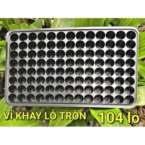 set 10 cái/ 5 cái Khay ươm, vỉ ươm hạt giống 104 lỗ