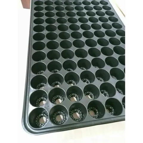 set 10 cái/ 5 cái Khay ươm, vỉ ươm hạt giống 104 lỗ