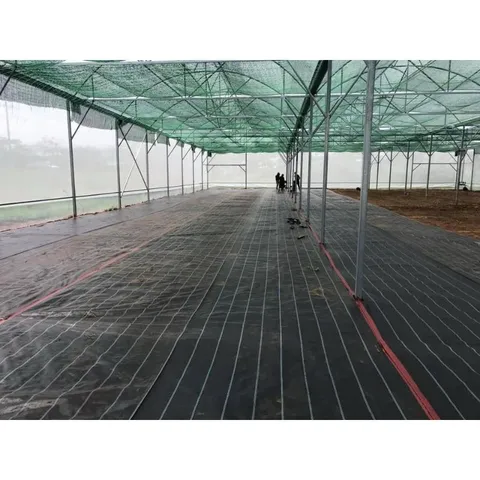 Combo 5m Bạt trải đất diệt cỏ, bạt địa chất khổ rộng 2m 4m
