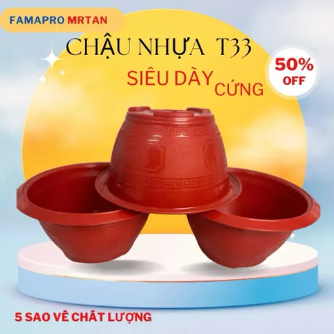 COMBO 10 Cái Chậu Nhựa Trồng Cây T33 Truyền Thống Tuỳ Màu 30 x 17cm NHỰA DẺO SIÊU CỨNG