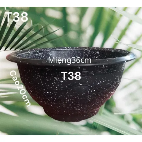 Combo 10 Chậu Nhựa Truyền Thống T38 Trồng Cây Tuỳ Màu 37x20
