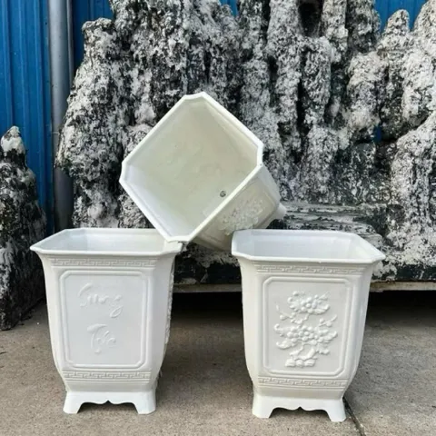Sỉ 10 chậu vuông tứ quý 3 kích thước ngang 25cm cao 30cm