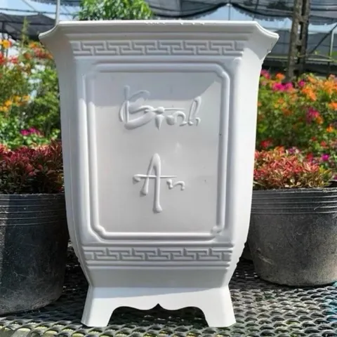 Sỉ 10 chậu vuông tứ quý 3 kích thước ngang 25cm cao 30cm