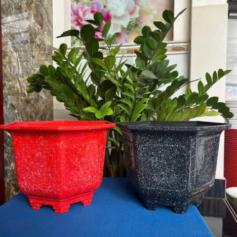 Combo 10 Chậu Nhựa Lục Giác Mai Đỏ
