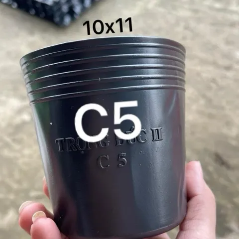 Combo 100 cái Chậu Nhựa Đen C5 Hàng Chuẩn Dẻo Dai