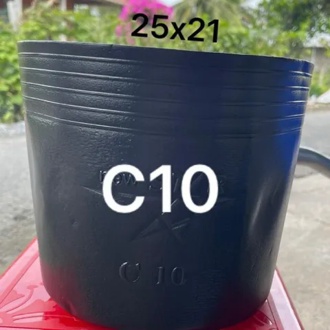Combo 100 cái Chậu Nhựa Đen C10 Hàng Chuẩn Dẻo Dai