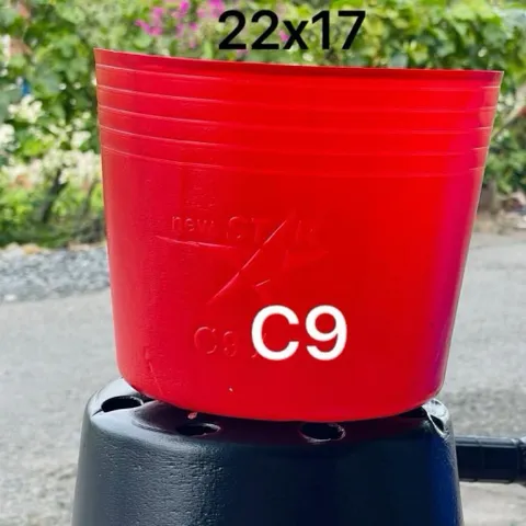 Combo 100 chậu nhựa đỏ C9 dẻo dày (22x17)
