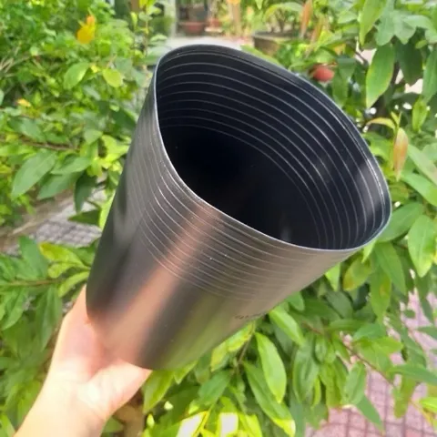 Combo 100 cái Chậu Nhựa Đen C9 Hàng Chuẩn Dẻo Dai
