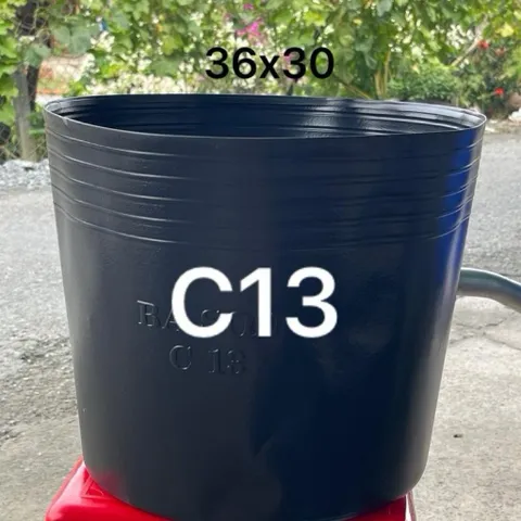 Combo 5 cái/ 10 cái Chậu Nhựa Đen C13 Hàng Chuẩn Dẻo Dai