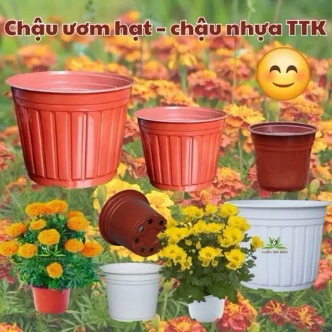 10 cái chậu nhựa trồng hoa Tân Trường Khang 260 (26cm x 20cm)