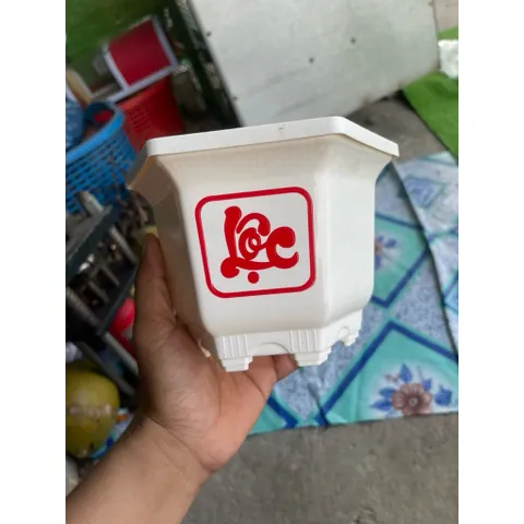 Combo 10 Chậu LG 160 Trắng