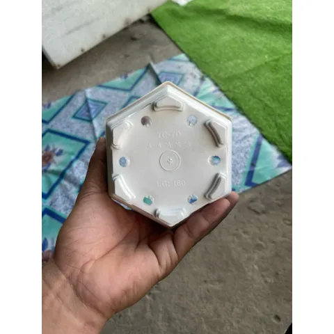Combo 10 Chậu LG 160 Trắng