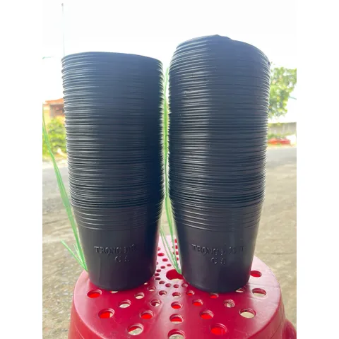 Combo 100 Chậu C5 hàng chuẩn dẻo dai