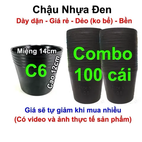 Combo 100 Chậu nhựa trồng Hoa, Cây cảnh C6 (14x12cm)