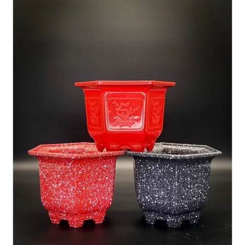 Combo 5 Chậu Mai 160