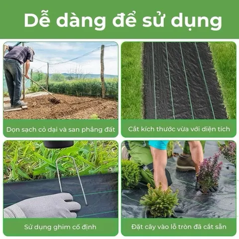 Bạt trải cỏ Gia Lợi 2M x 50M