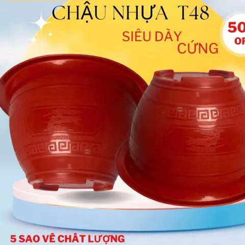 Combo 10 chậu Chậu nhựa trồng cây Phúc lộc thọ T48,kích thước 46x23cm, chậu trồng hoa cây cảnh quất đào tết