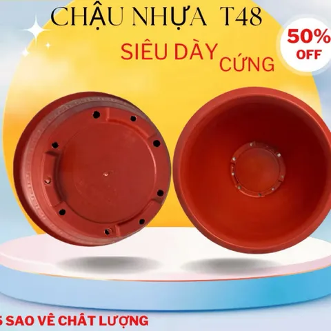 Combo 10 chậu Chậu nhựa trồng cây Phúc lộc thọ T48,kích thước 46x23cm, chậu trồng hoa cây cảnh quất đào tết