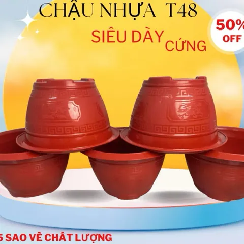 Combo 10 chậu Chậu nhựa trồng cây Phúc lộc thọ T48,kích thước 46x23cm, chậu trồng hoa cây cảnh quất đào tết